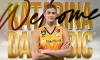 Sırp smaçör Dangubic, VakıfBank'ta